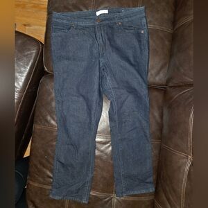 Loft Curvy Kick Cropped Dark Wash Jeans